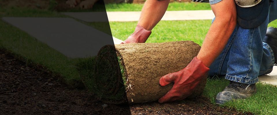 Farmerville Landscapers